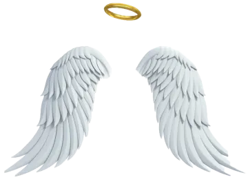 two white angel wings with gold halos