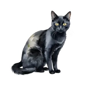 a black cat with yellow eyes sitting down