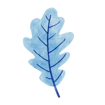 a blue leaf on a white background