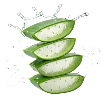 three slices of aloea alocaa with water splash