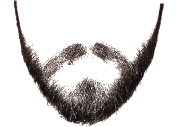 a drawing of a man's beard