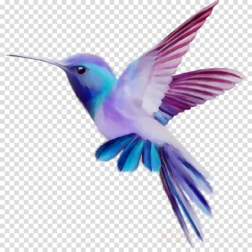 a hummingbird flying in the air with its wings spread