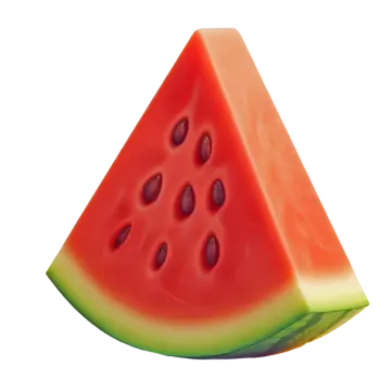 a slice of watermel on a white background