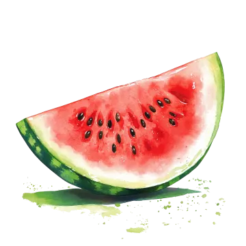 a slice of watermel on a white background