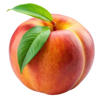 a peach with a green leaf on top