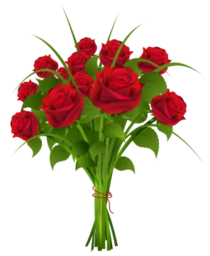 a bunch of red roses