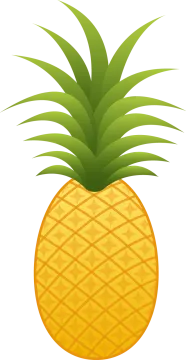 a pineapple on a white background