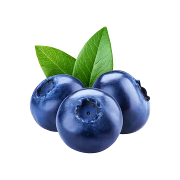 three blueberries with leaves on a white background