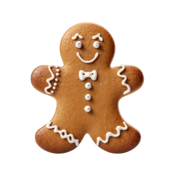 a close up of a ginger cookie on a white background