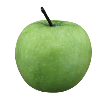 a green apple on a white background