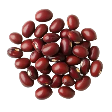 a pile of red kidney beans