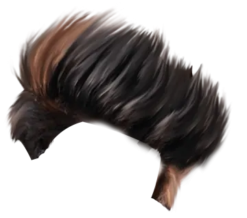 a brown and black hair on a white background