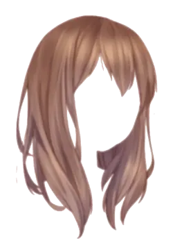a drawing of a woman's head with long brown hair