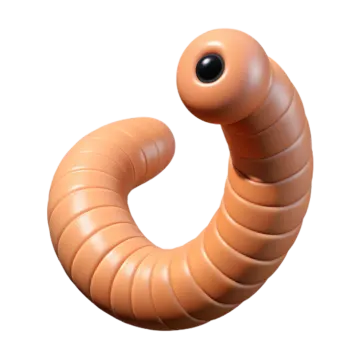 an image of a worm on a white background