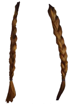 two braids on a white background