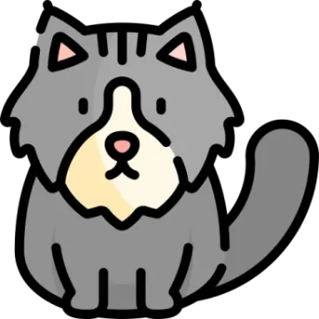 a gray cat sitting down and looking up