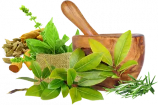 a mortar and mortar with herbs