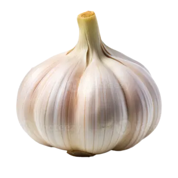 a garlic bulb on a white background