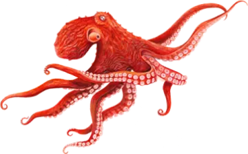 a drawing of an octopus