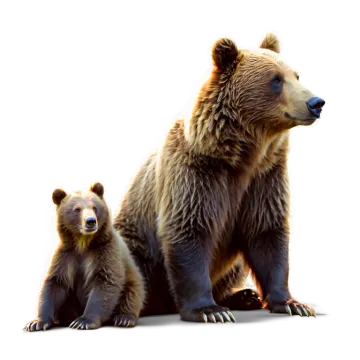 a brown bear and her cub