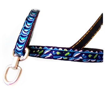 an image of a dog leash on a white background