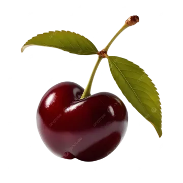 a cherry with green leaves on a white background