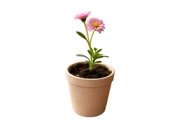 a small pink flower in a brown pot