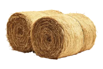 a roll of hay on a white background