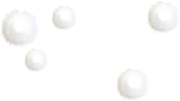 a group of white feathers on a white background