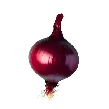 red onion on a white background