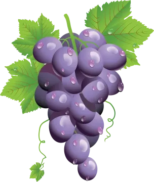 a bunch of blue grapes with green leaves