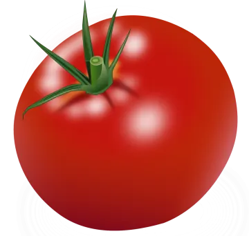 a red tomato on a white background