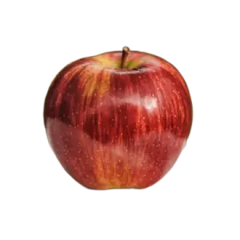 an apple on a white background