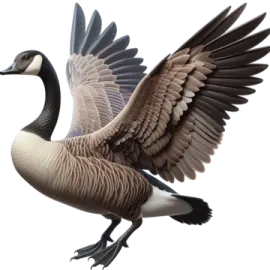 a goose with its wings spread out