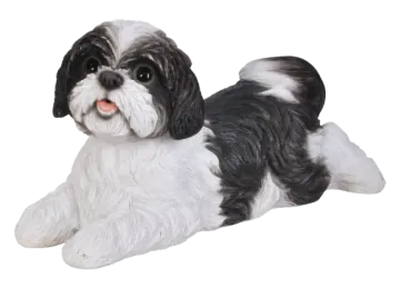 a black and white dog laying on the ground