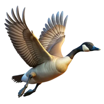 a duck is flying in the air