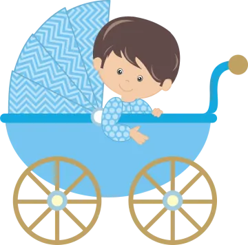 a baby boy in a blue stroller