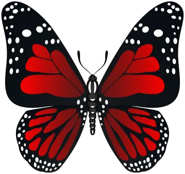 a red butterfly on a white background
