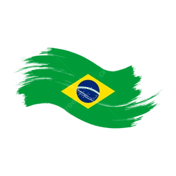 the flag of brazil