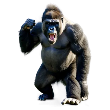 a gorilla standing on its hind with its mouth open