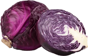 two red cabbages with a white background