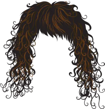a drawing of a woman's hair