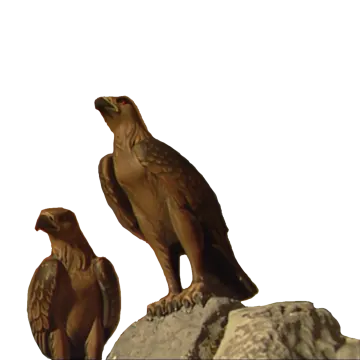 two birds sitting on top of a rock