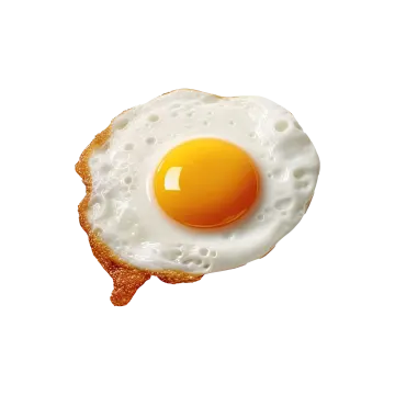 a fried egg on toasted bread