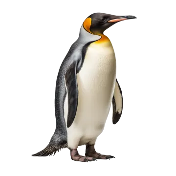 a penguin standing on top of a white surface
