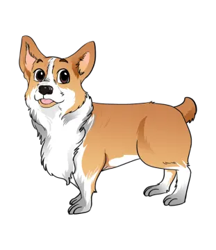 a brown and white dog standing on a white background