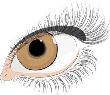 a close up view of an eye