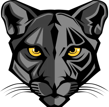 a black panther head with yellow eyes