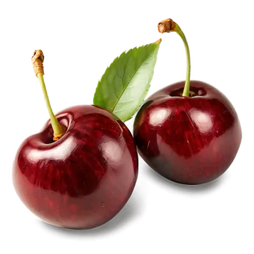 two chers on white background