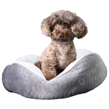 a small dog sitting on top of a bed